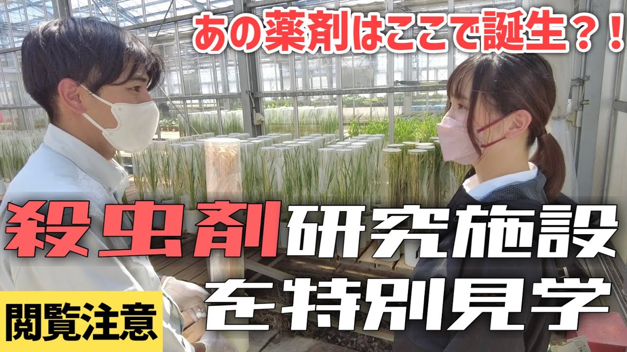 あの殺虫剤はここで誕生！日産化学の研究所見学！ 殺虫剤編