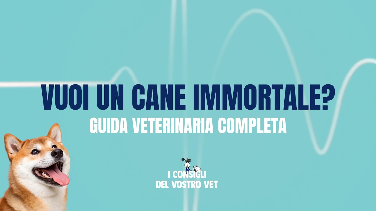 137 - I 3 Segreti per Far Vivere Più a Lungo il Tuo Cane o Gatto (Guida Veterinaria Completa)