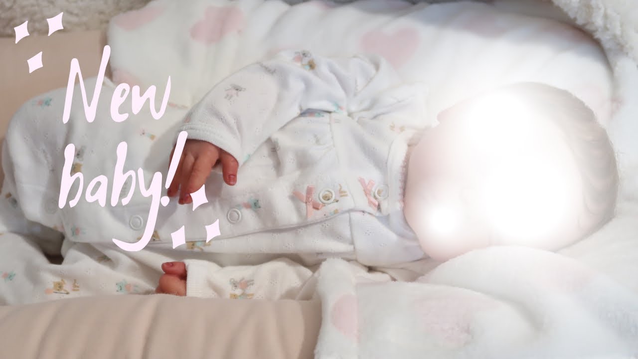 New Reborn Baby Girl Box Opening | Sophia's Reborns