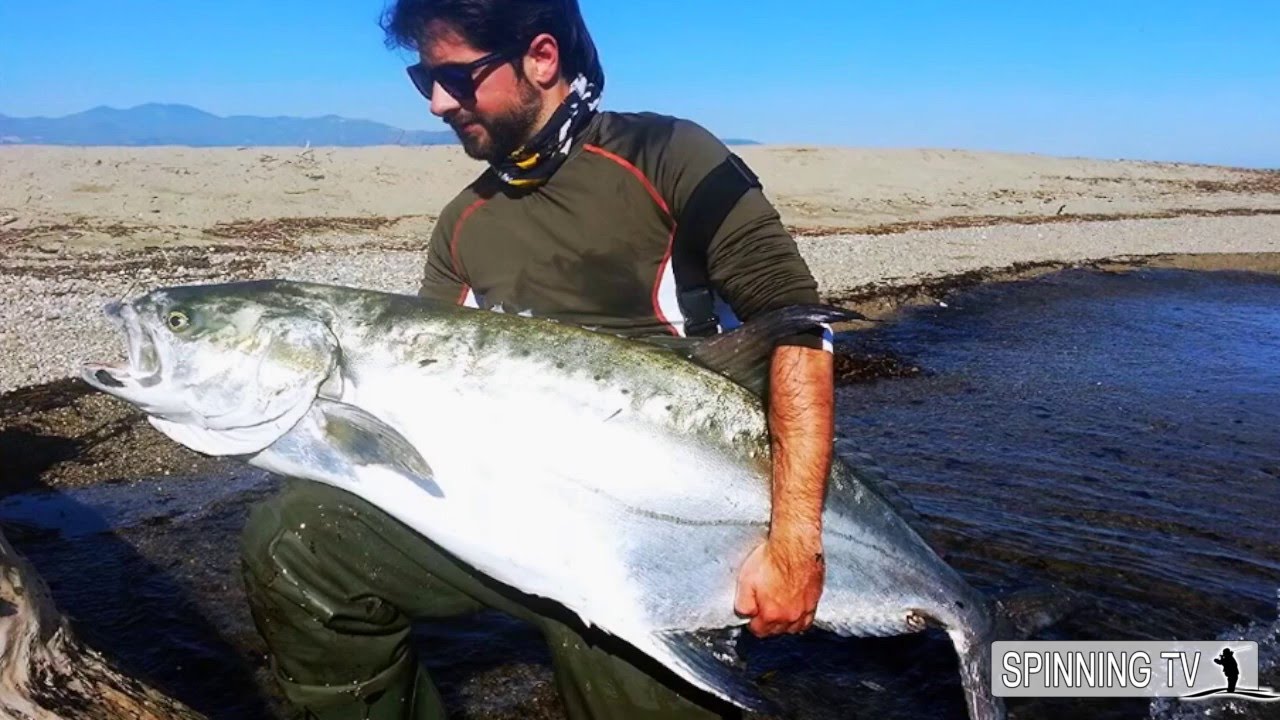 35 kg LECCIA AMIA PRESA CON CANNA DA PESCA A SPINNING DA RIVA! PESCATA DA SOGNO | Spinning TV