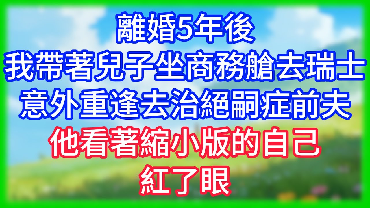 【爽文】離婚5年後，我帶著兒子坐商務艙去瑞士，意外重逢去治絕嗣症的前夫，他看著縮小版的自己，紅了眼