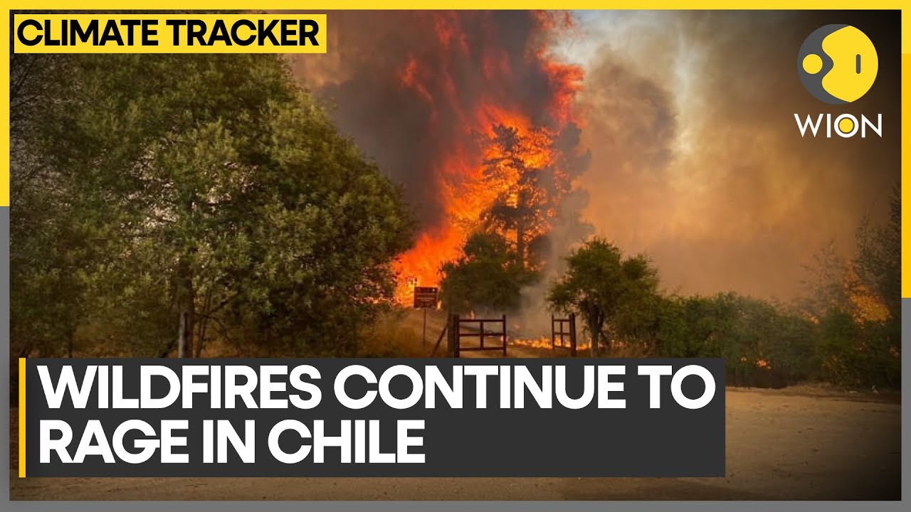 More than 64,000 acres burnt across Central and Southern Chile | WION Climate Tracker