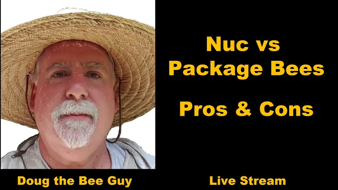 Прямой эфир Doug the Bee Guy #7 | Nucs против Package Bees