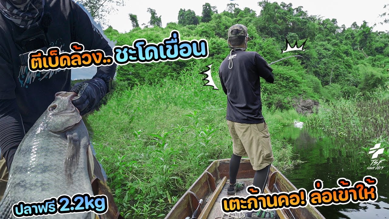 เตะก้านคอ...ล่อเข้าให้ ตี Skipping ล้วงชะโดเขื่อน