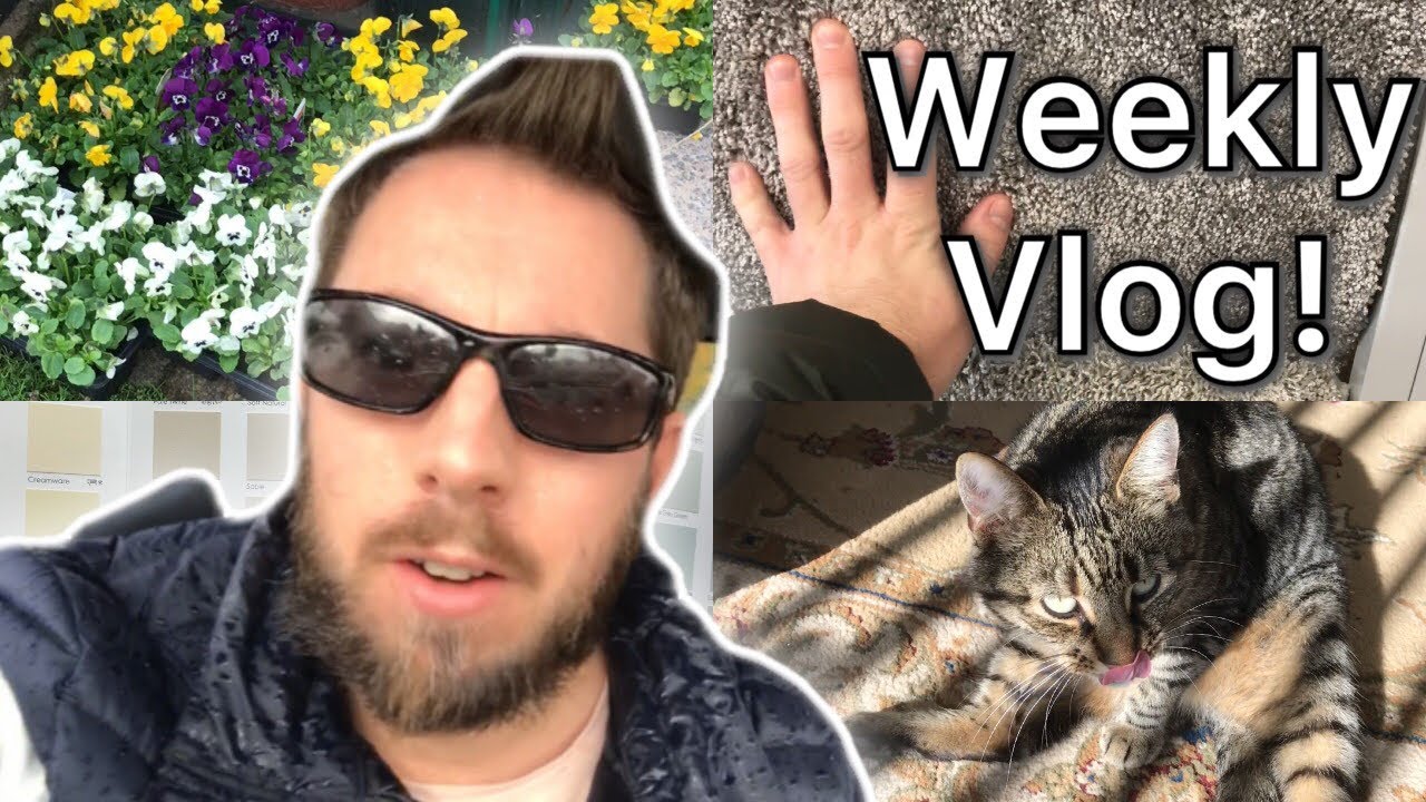 MOVING ON! BRITISH WEEKLY VLOG 2019