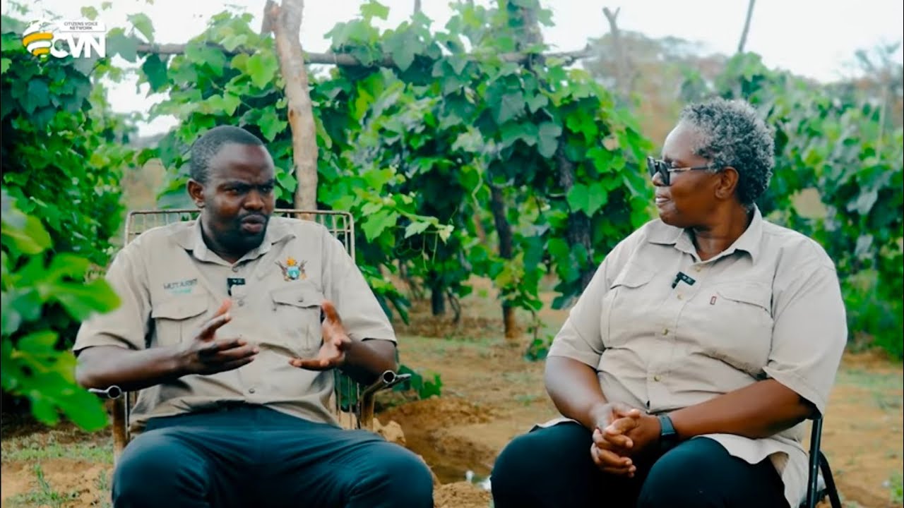 She made a bold move, investing over $10,000 into her orchard project.