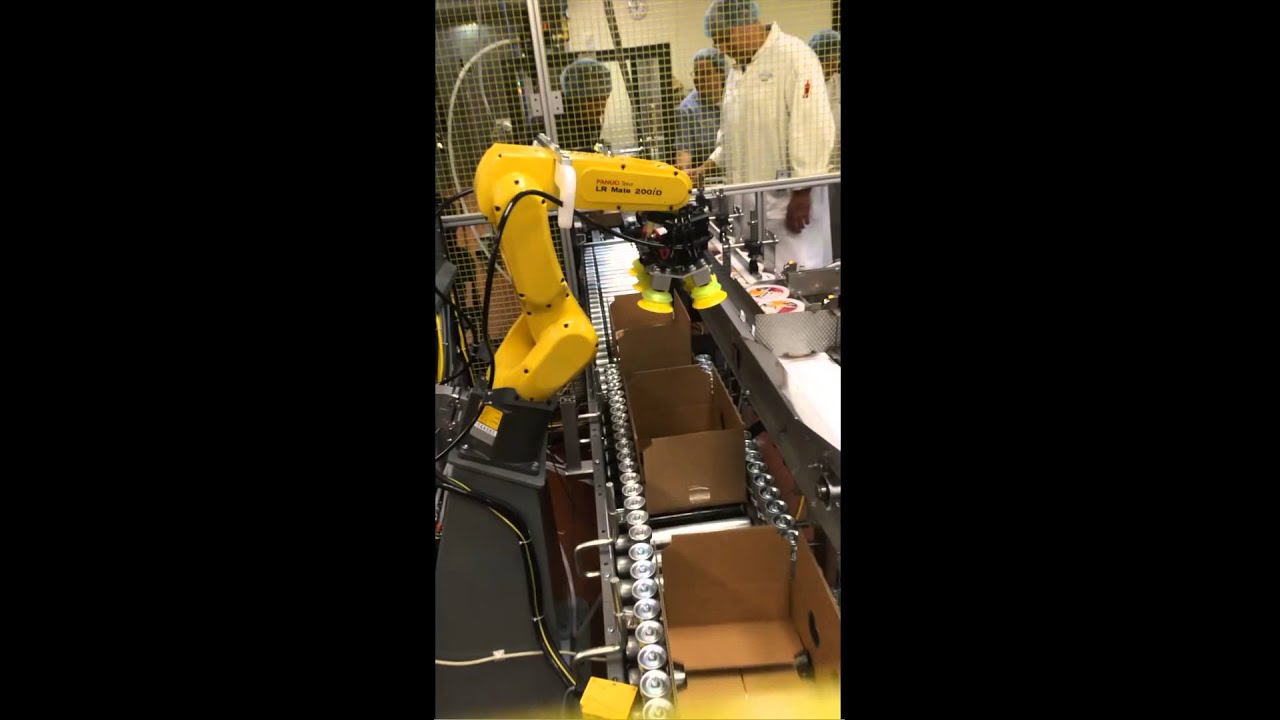 Fanuc Case Packing Robot