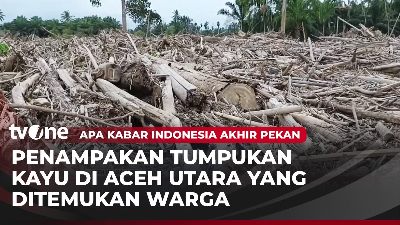 Kayu Gelondongan Menimbun Perkebunan Warga di Aceh Utara | AKAP tvOne