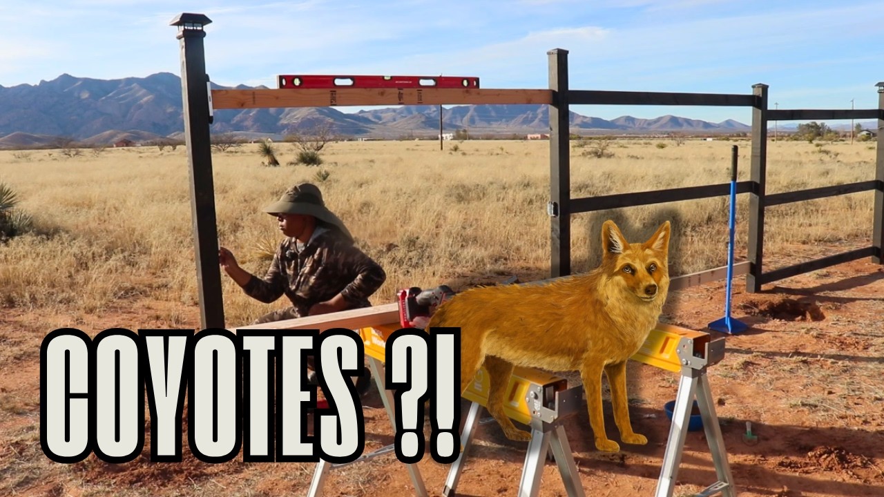 We Were Installing Fence Slats... Then the Coyotes Started Howling | Homestead in AZ
