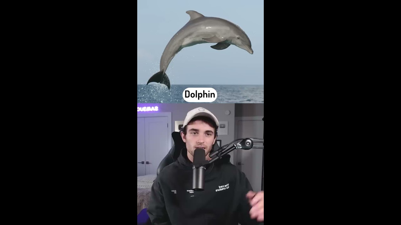Could You Beat These Animals in a Fight?