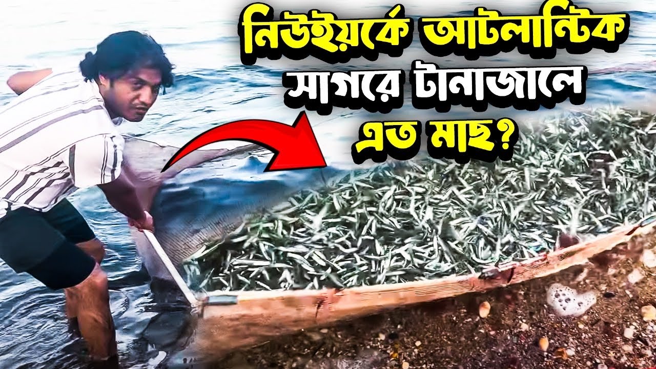 নিউইয়র্কে আটলান্টিক সাগরে টানা জালে এত মাছ?? Net fishing/ New York/ Me n More🇺🇸 ￼
