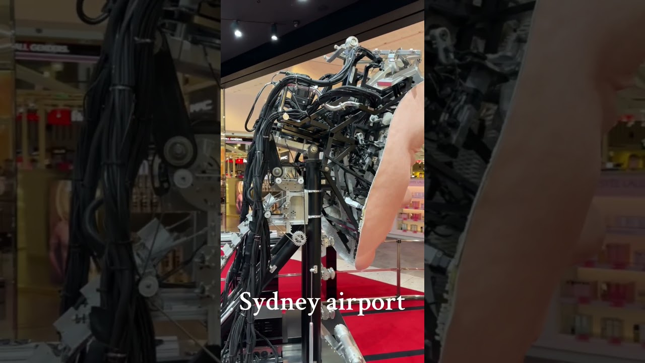 The face in Sydney airport #travel