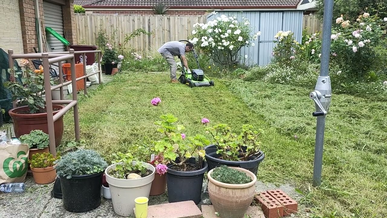Overgrown backyard in urgent need of a make over!!!