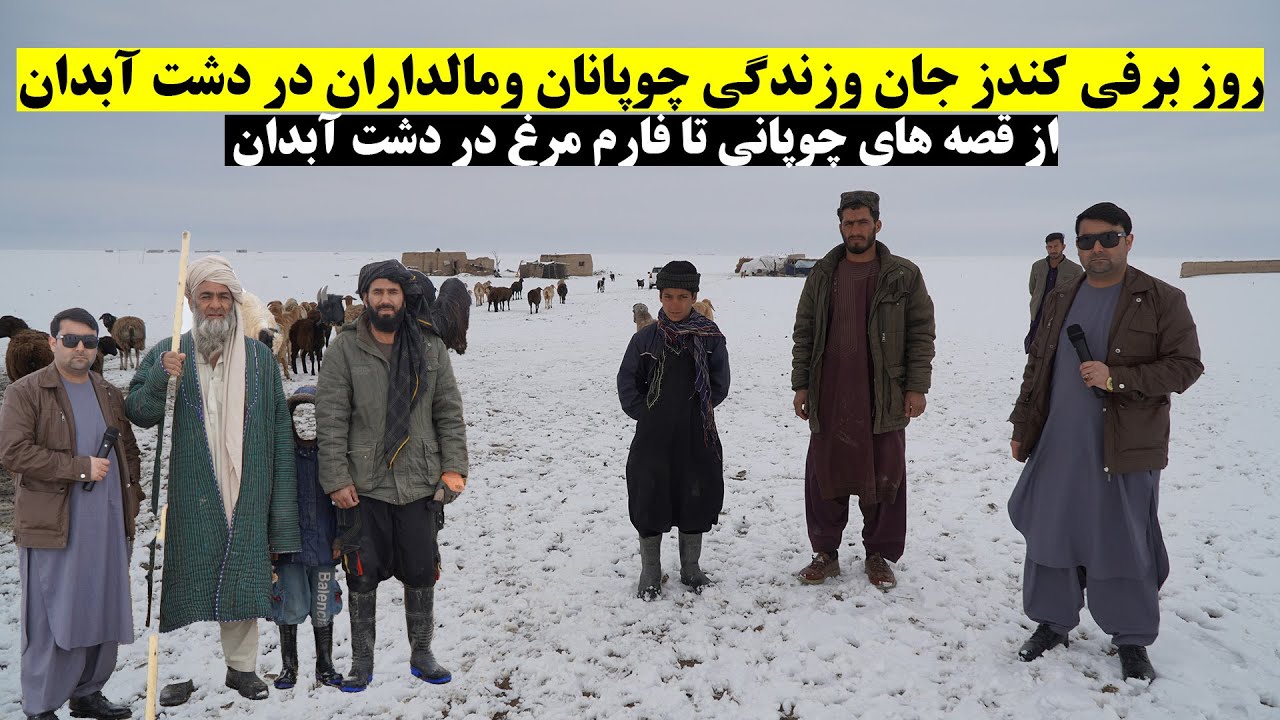 روز برفی کندز جان وزندگی چوپانان ومالداران در دشت آبدان | از قصه های چوپانی تا فارم مرغ در دشت آبدان