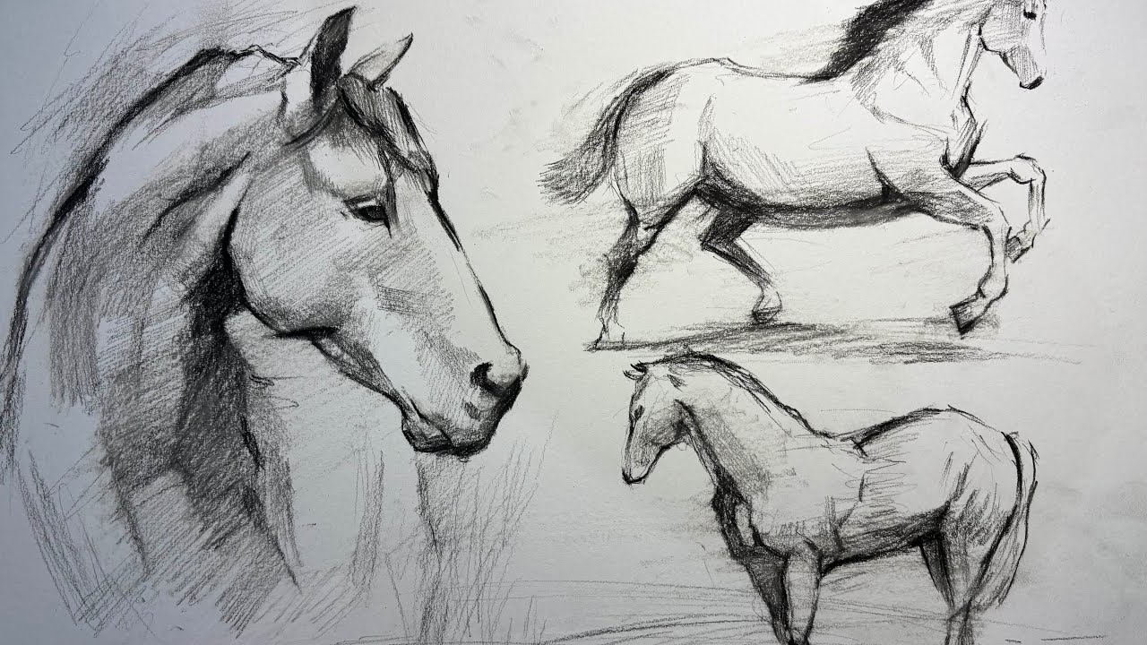 말 콘테 드로잉