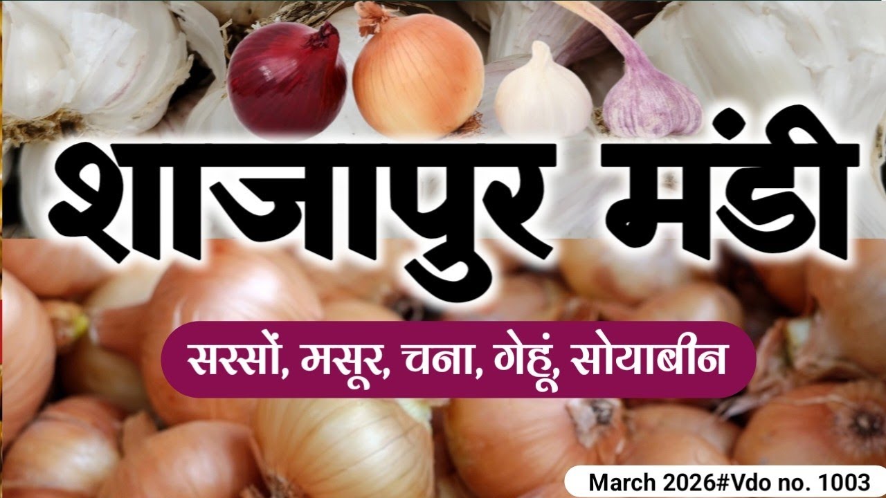 Shajapur Mandi bhav: Sarso masur chana gehun soyabean 5 March 2026