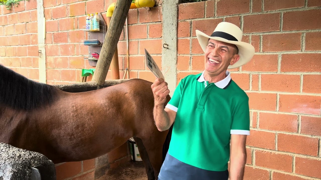 Que hay que tener en cuenta para comprar un caballo