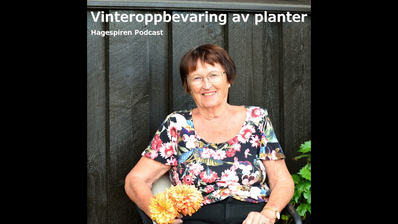 38/25: Tilbakeblikk - Vinteroppbevaring av planter med Ingrid Heier