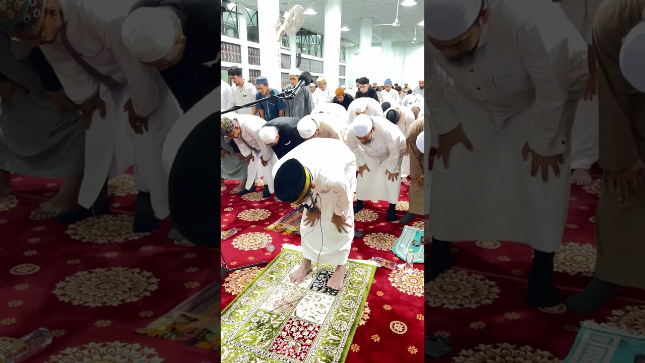 صلاة التراويح 