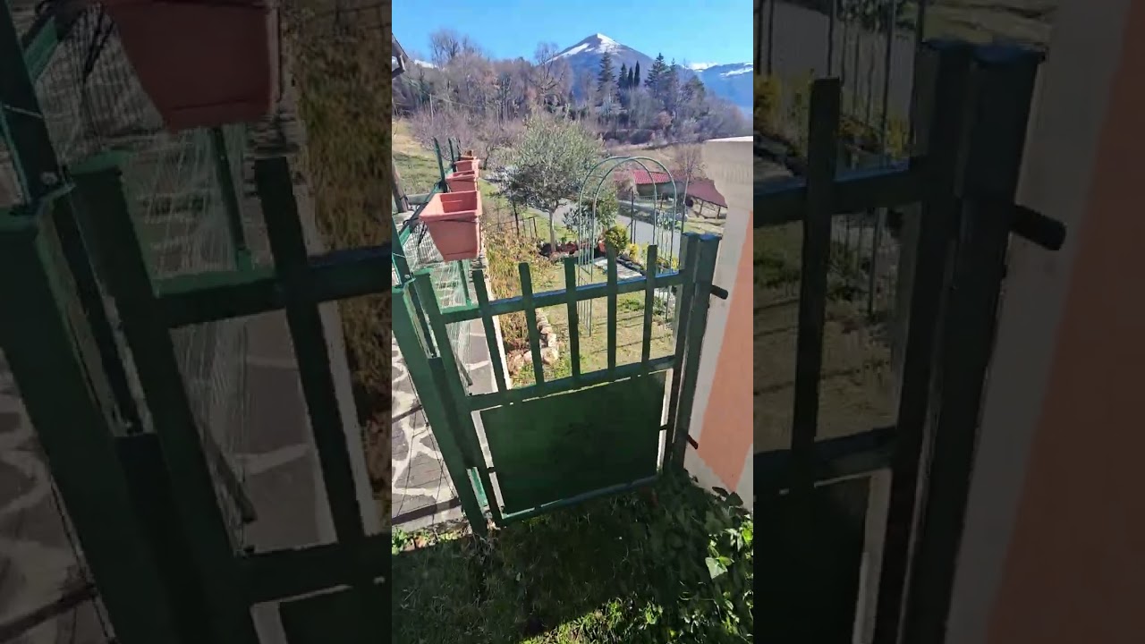 My outside view around at home 🏡