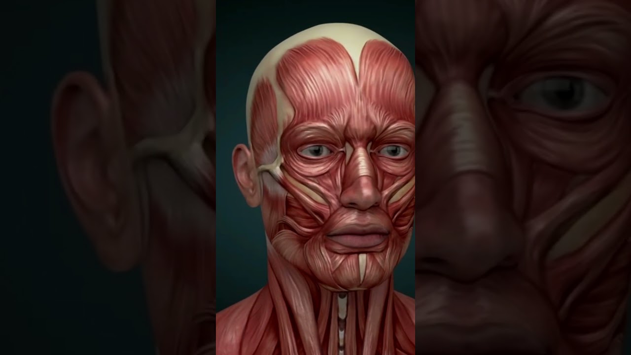 Las causas de una par&aacute;lisis facial: &iquest;Qu&eacute; hacer si me ocurre esto?