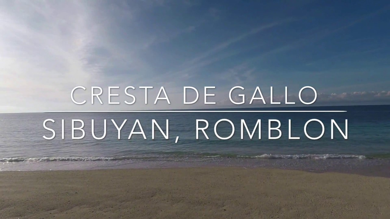 Cresta De Gallo | #Sibuyan2017
