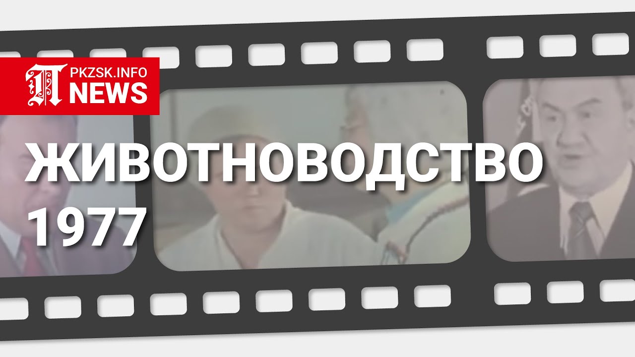 Животноводство Северного Казахстана КазССР, 1977 год