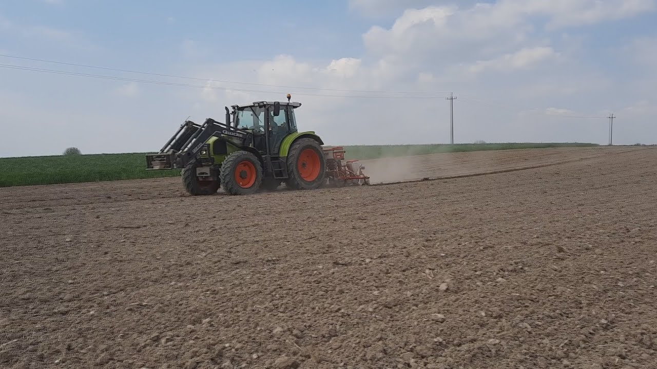 Siew Kukurydzy 2021 Claas Ares 566 RZ + Gaspardo