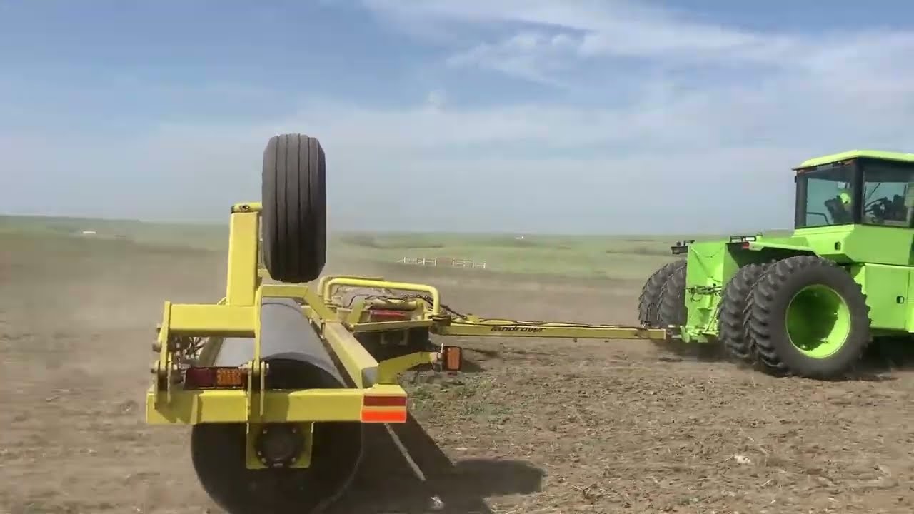 Rolling Soybeans when they are 1" out of the ground