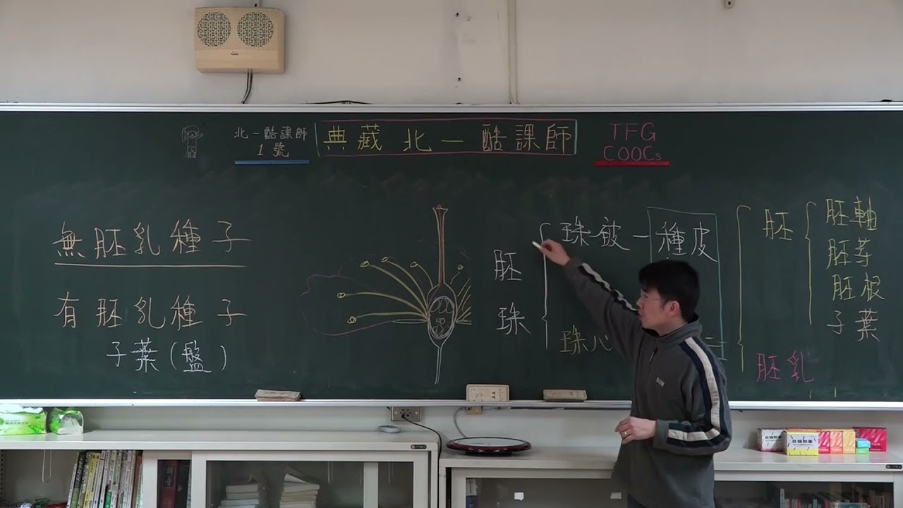 簡介花粉管萌發 -雙重受精 -胚 -胚乳-108課綱-選修生物 II