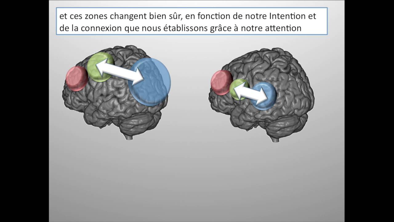 Le Cerveau Funambule (2/3) : Pouce, Index, Majeur