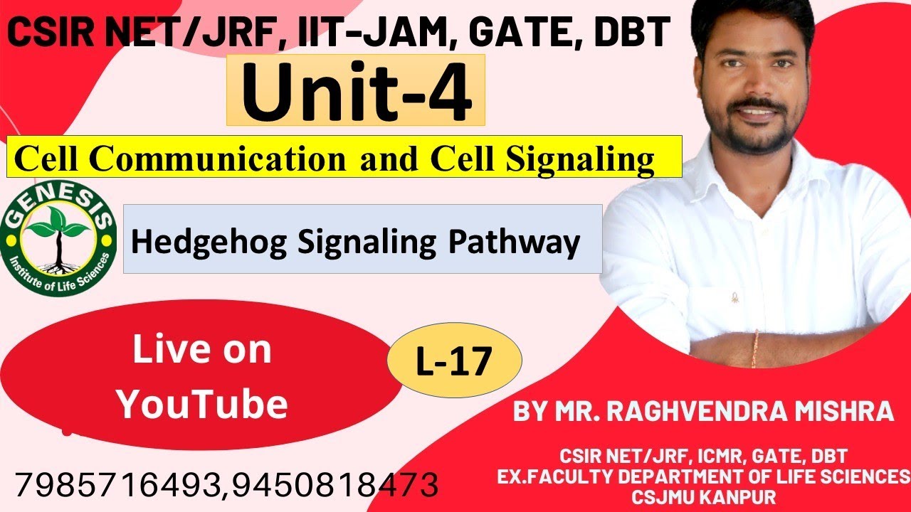 #Hedgehog Signaling |Smoothened &Patched Receptor |Cell Communication &Cell Signaling |L -13 |Unit-4