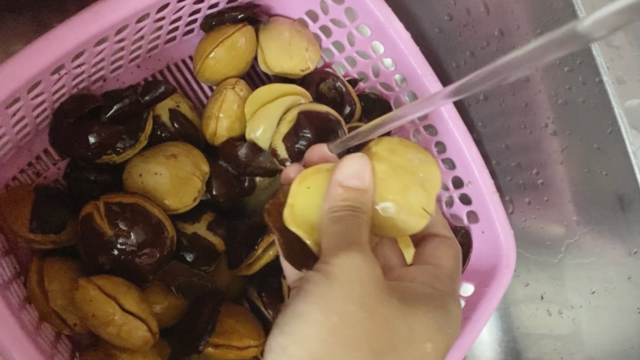TIPS PENYIMPANAN JENGKOL YANG AMAN DAN MUDAH