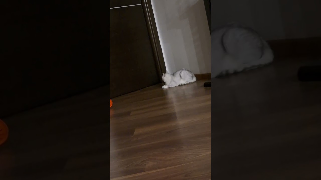 🫰🤌🤫не все поймут🔕🔥