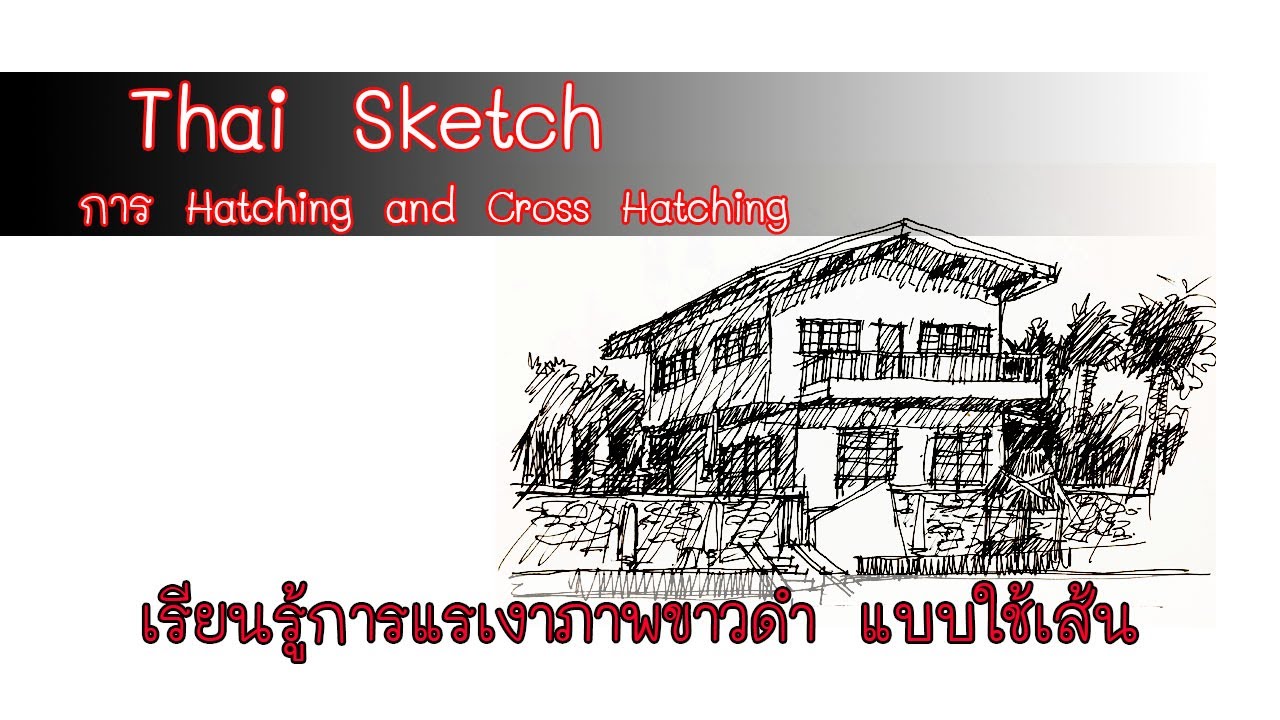 เรียนรู้การสร้างเงาด้วยเส้น Hatching and Cross Hatching : Go To Sketch