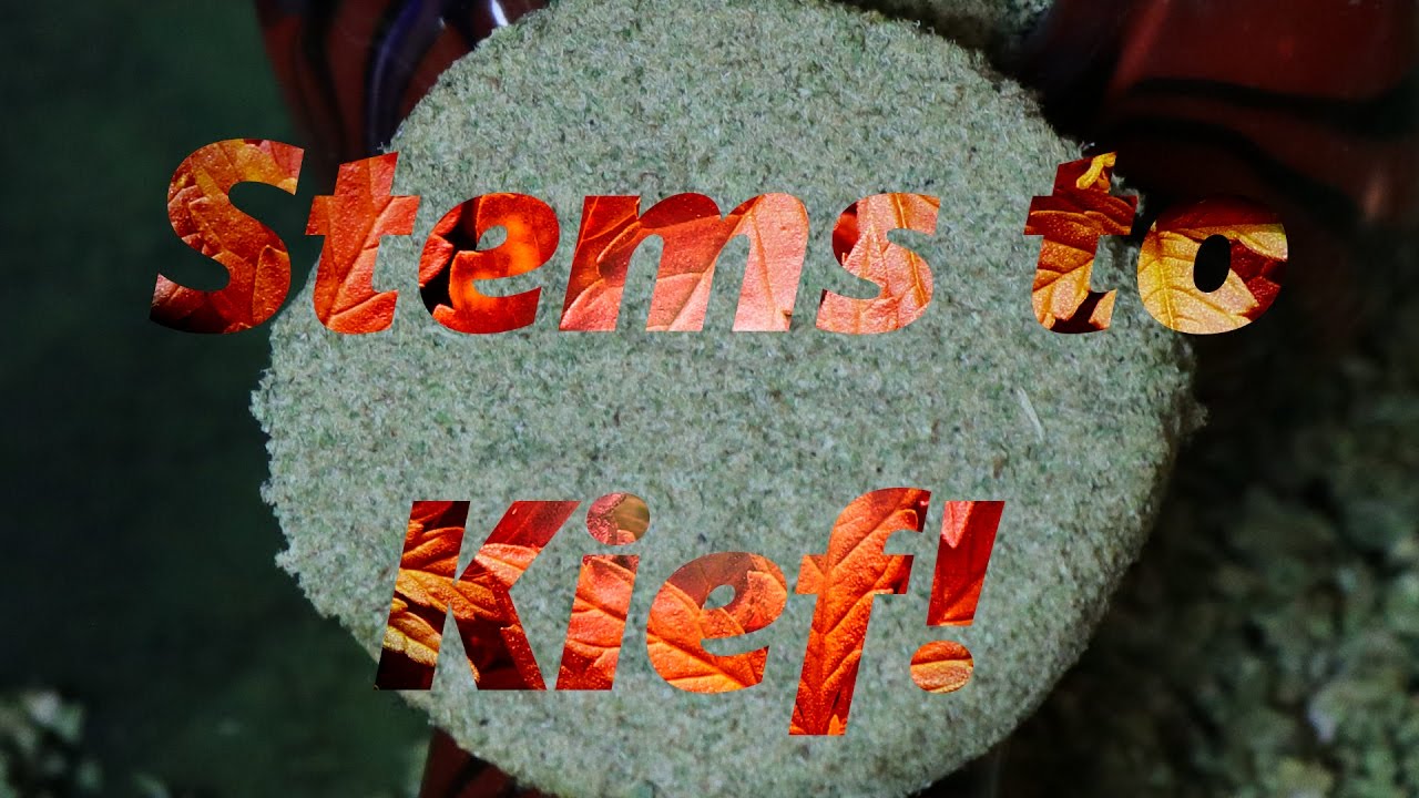 How to use a kief box with dry ice