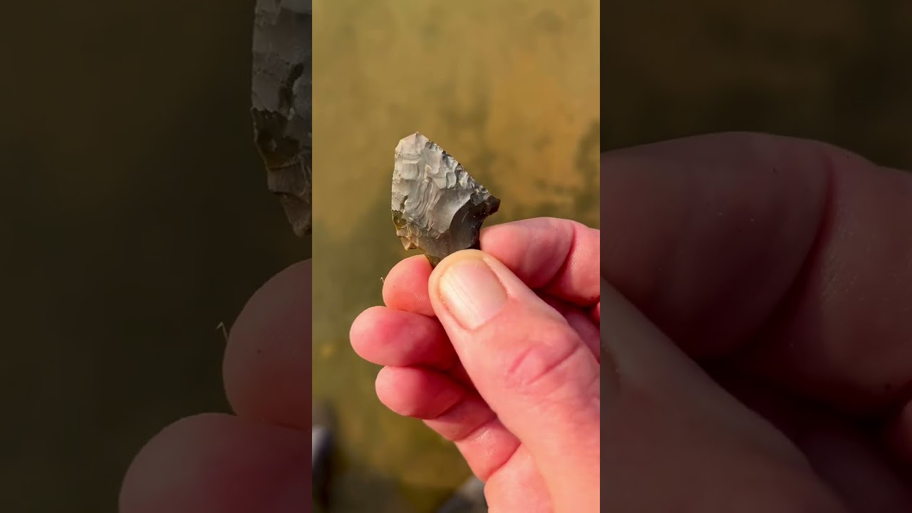 Alabama archaic site.