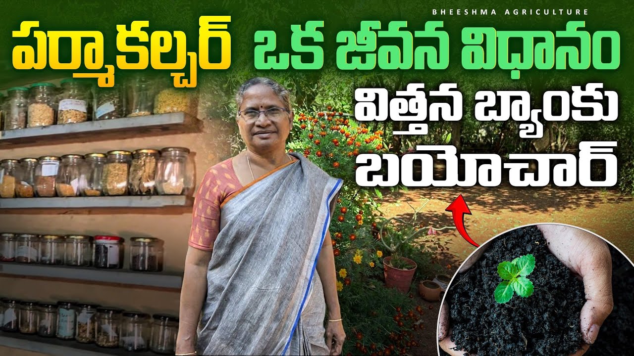 Permaculture - ఒక జీవన విధానం | Seed Bank & Biochar System | Bheeshma Agriculture