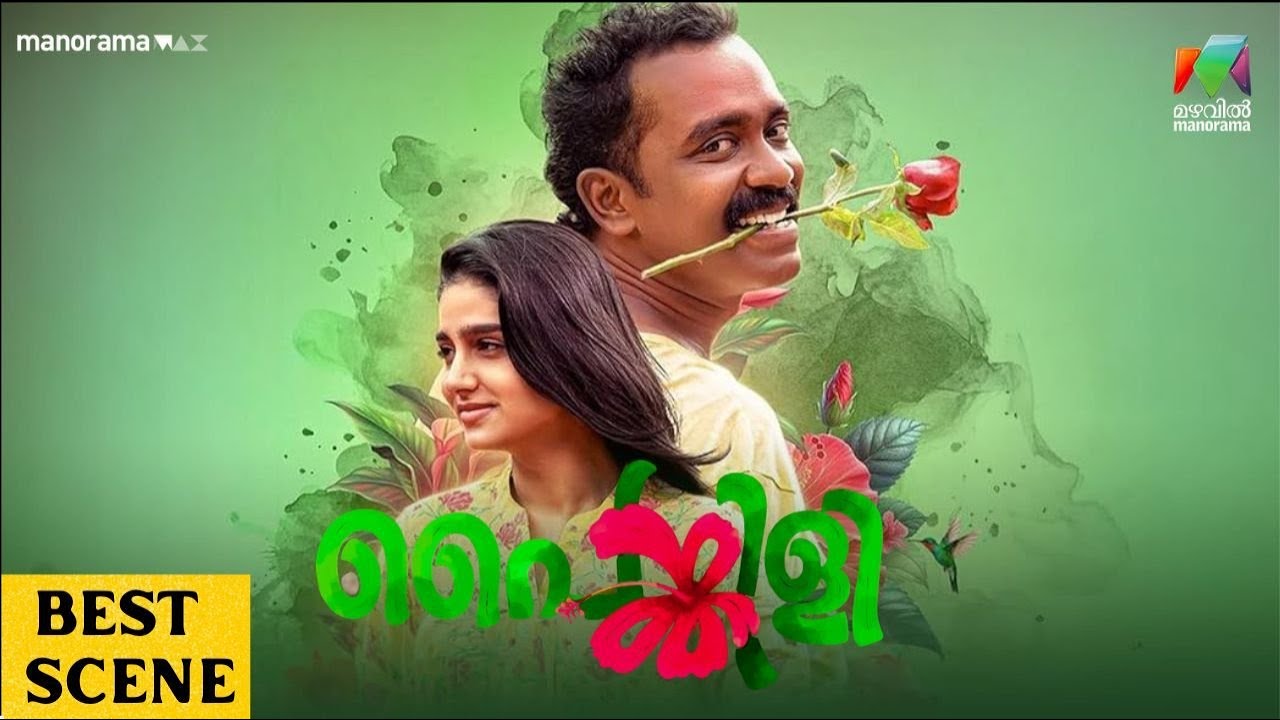 സുകുച്ചേട്ടൻ ഒരാളെ കൊന്നല്ലേ  | Mazhavil Manorama | Painkili