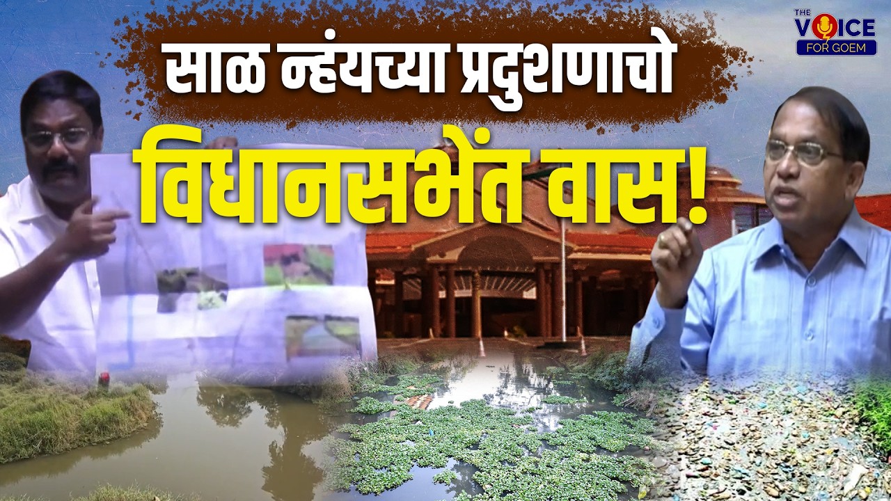 साळ न्हंयच्या प्रदुशणाचो विधानसभेंत वास!