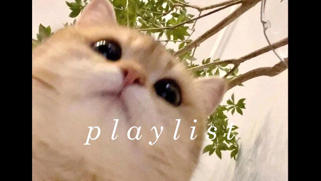𝐏𝐥𝐚𝐲𝐥𝐢𝐬𝐭 
