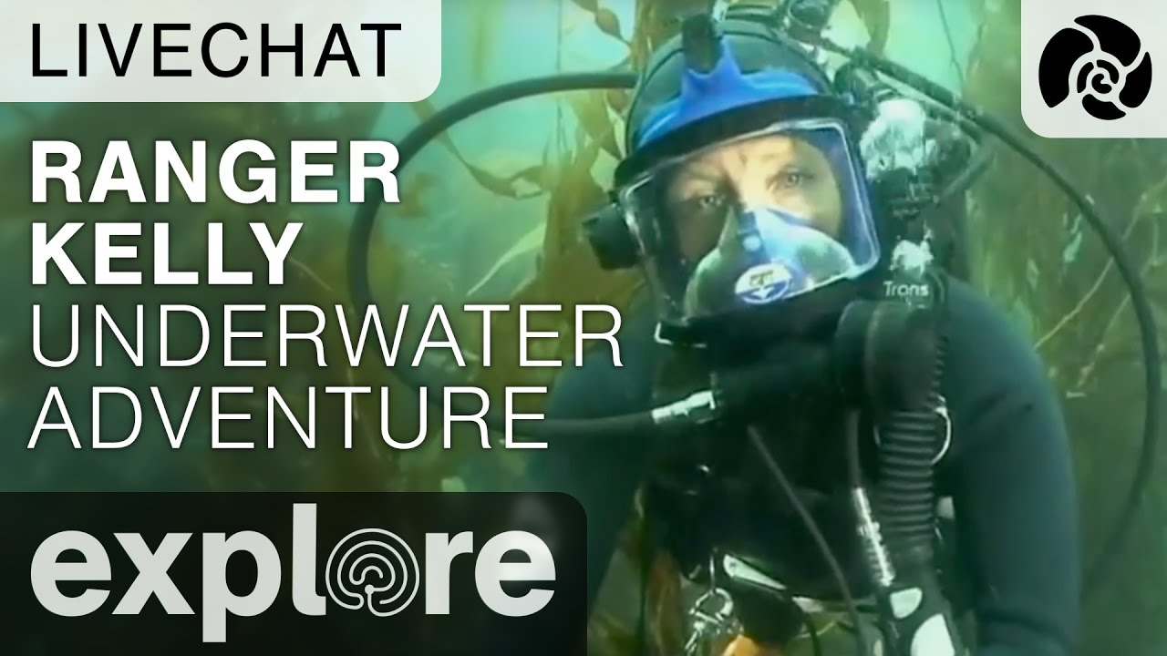 Ranger Kelly Underwater Adventure Anacapa Island - Underwater Live Chat