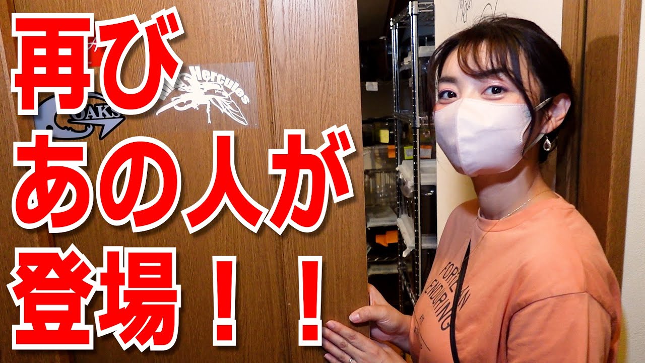 再び