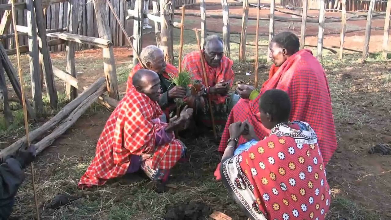 SEE HOW THE MAASAI ELDERS DO THE RAINMAKING CEREMONY WHEN ENCOUNTERED WITH DROUGHT FOR LONG!