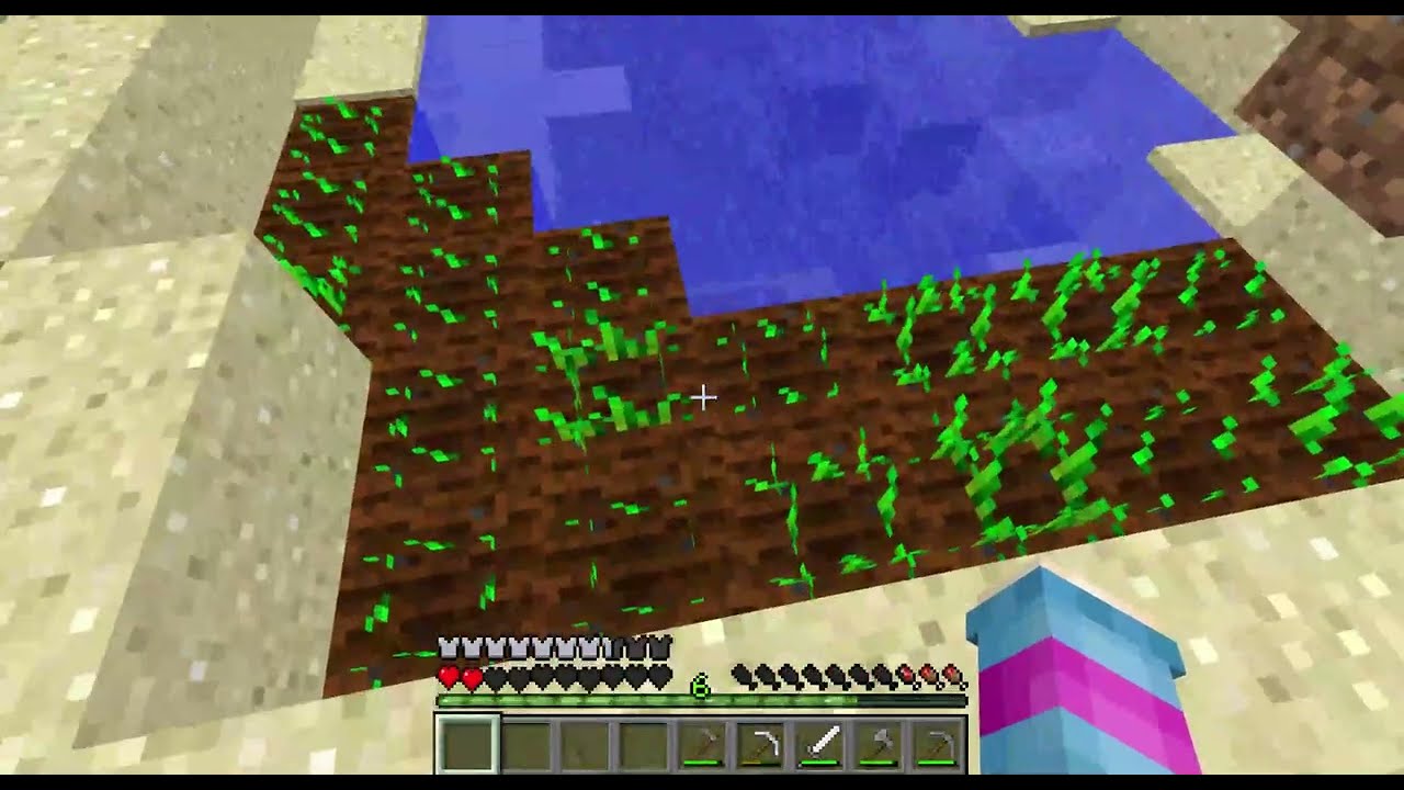 I made a Farm in Minecraft!