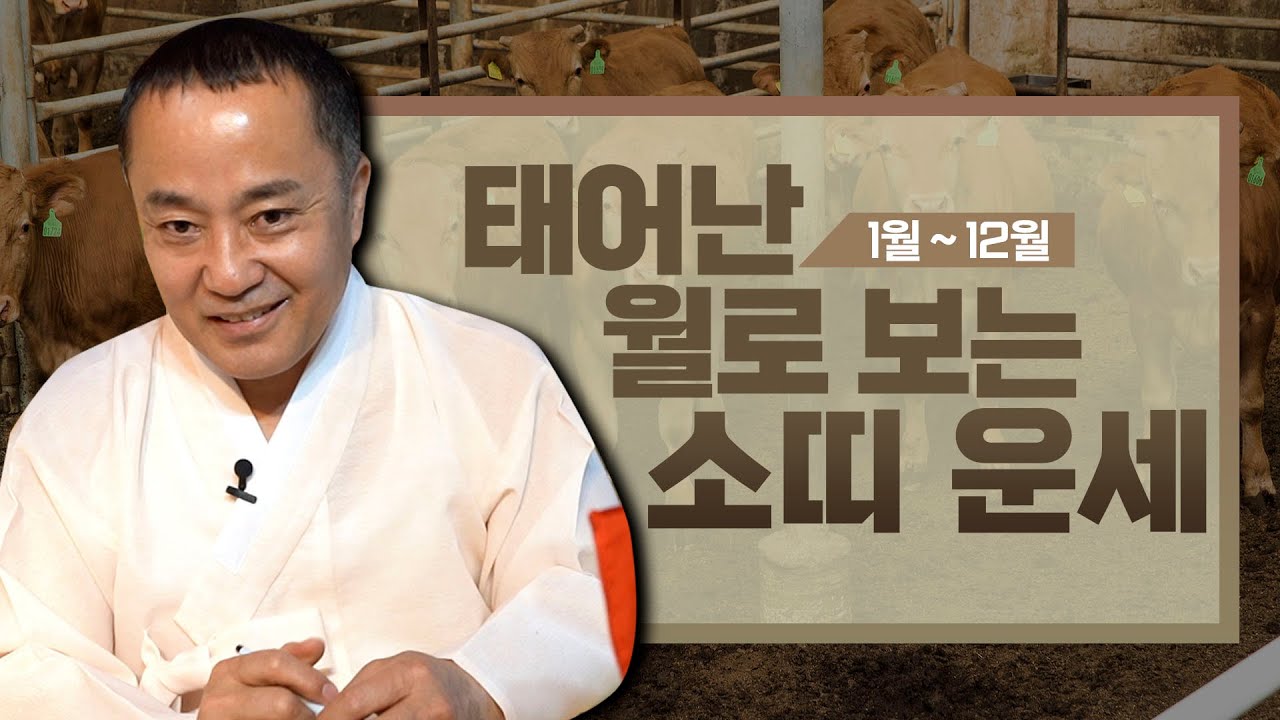 ‘소띠’ 타고난 복과 평생의 운세 / 태어난 월로 보는 운세 [1월생~12월생]