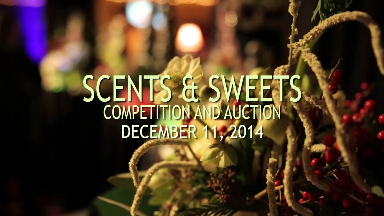 2014 Holiday Celebrations recap