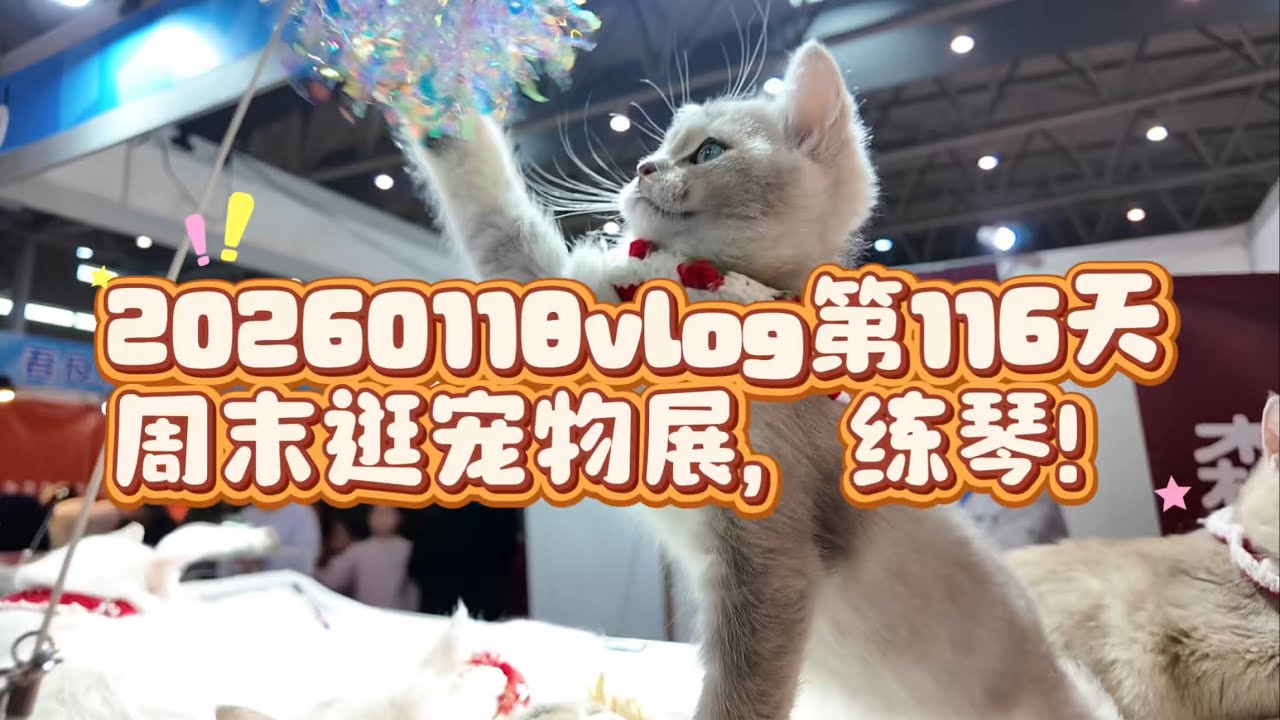 20260118vlog第116天：周末逛宠物展，练琴！