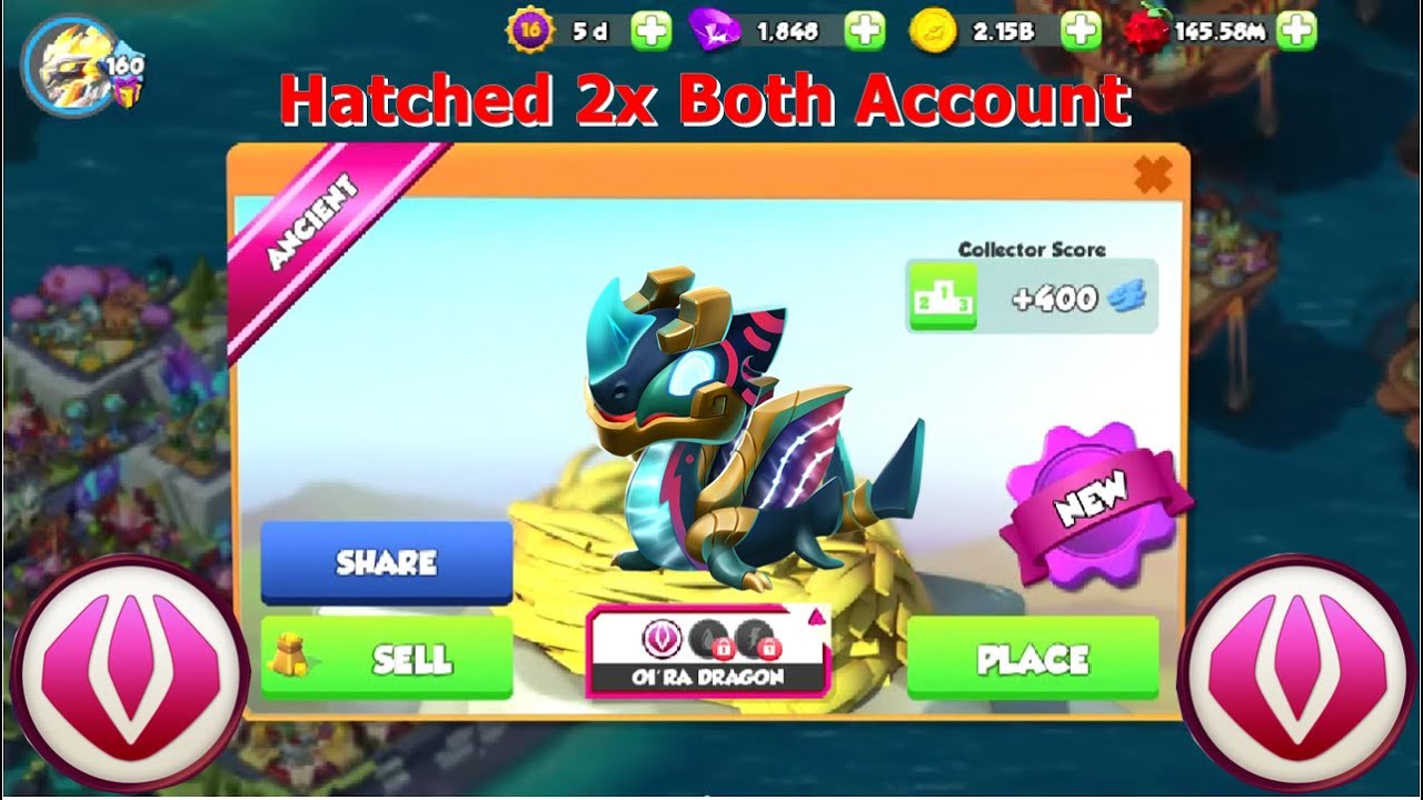 Hatched Oi'ra Dragon in my both account-Dragon Mania Legends | Cake Craze Event | DML