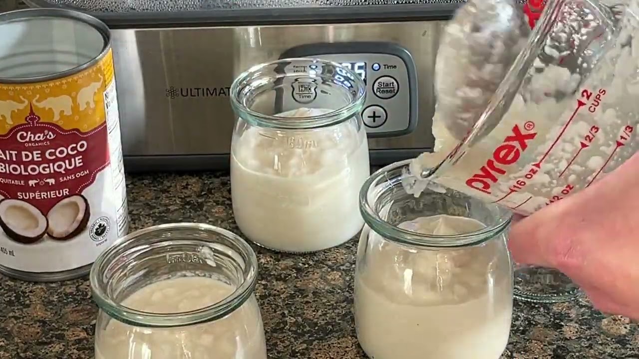 L Reuteri Supergut COCONUT Yogurt - Comparing DIY Shredded Coconut Milk to Canned
